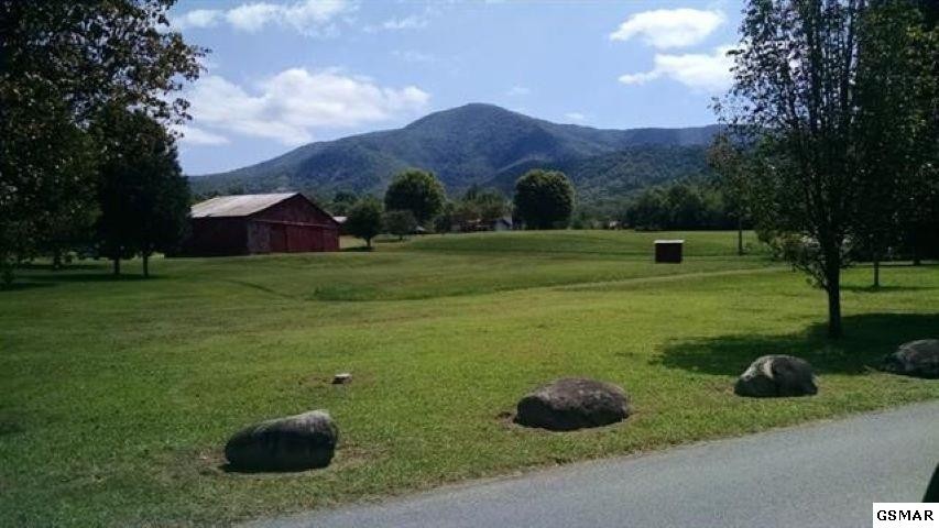 12 Line Springs Road Sevierville, TN 37862 - Photo 10 of 12