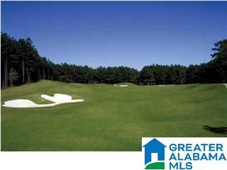 1040 Stoneykirk Road Pelham, AL 35124 - Photo 46 of 46 Gallery Image 46