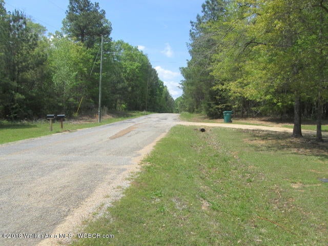285 Prospect Road Sulligent, AL 35586 - Photo 20 of 23 Gallery Image 20