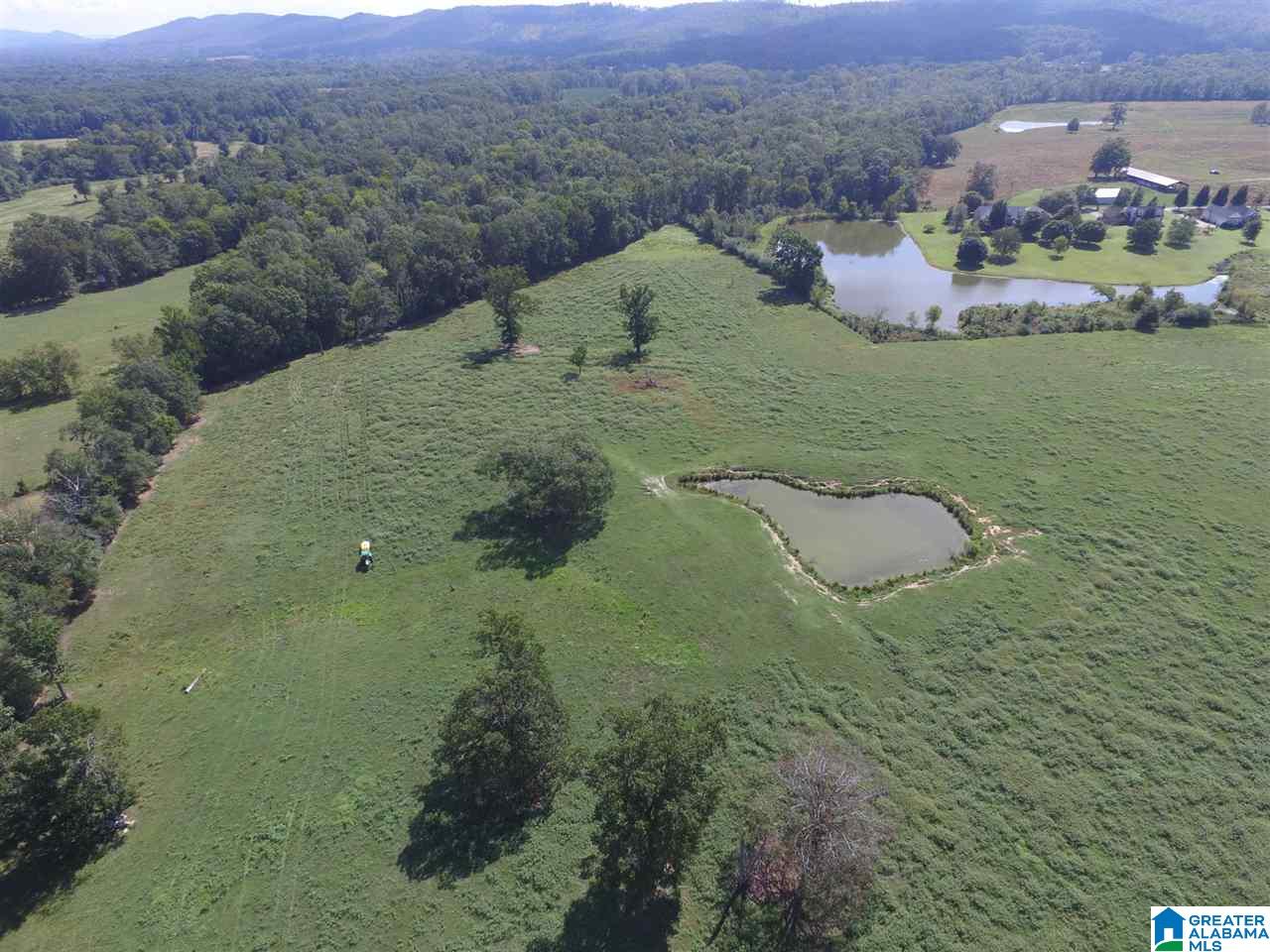 Double Bridge Road, Unit 35 Steele, AL 35987 - Photo 1 of 8