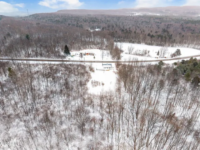 $299,999 | 981 Knox Cave Road, Knox, NY 12009