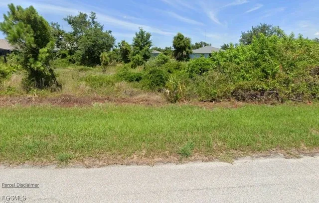 a view of a yard with plants and a bench of side of the road