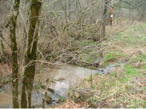 0 Willis Chapel Road, Unit 40 22 Kyles Ford, TN 37765 - Photo 3 of 4 Photo 5