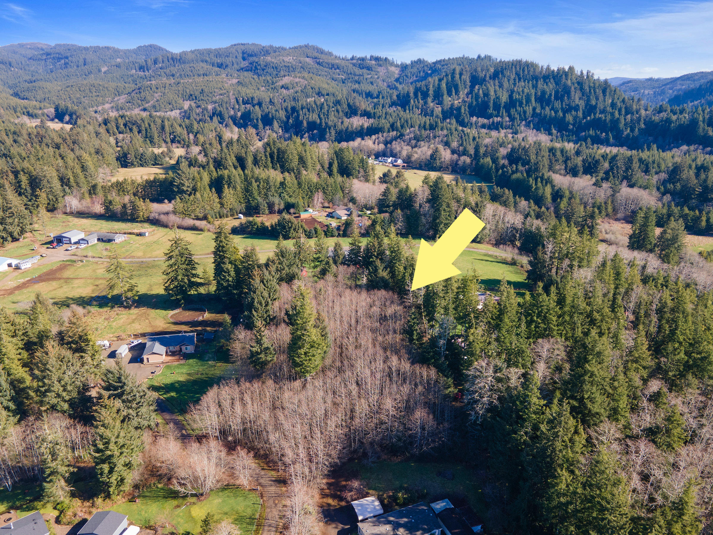 1801 Blanchard Road Beaver, OR 97112 - Photo 3 of 9 TL 1801 Blanchard Road