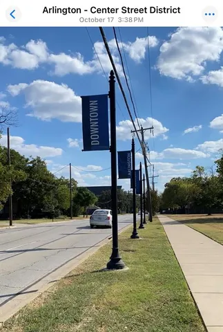 a park with lots of trees