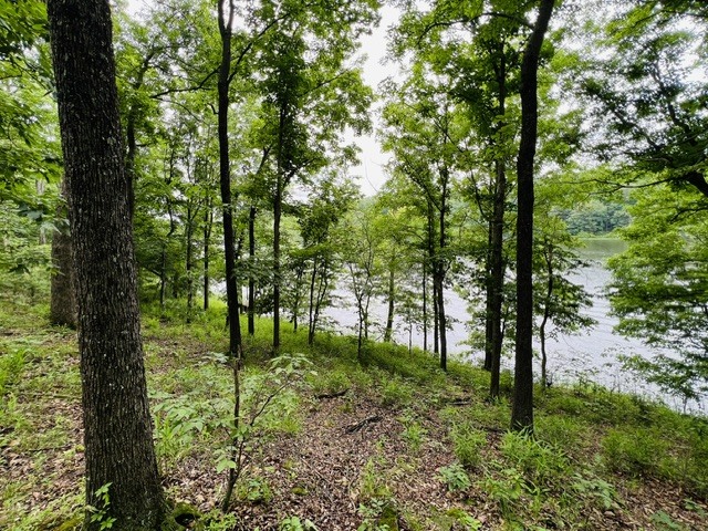 Lot 147 Parrish Ridge Goreville, IL 62939 - Photo 5 of 20