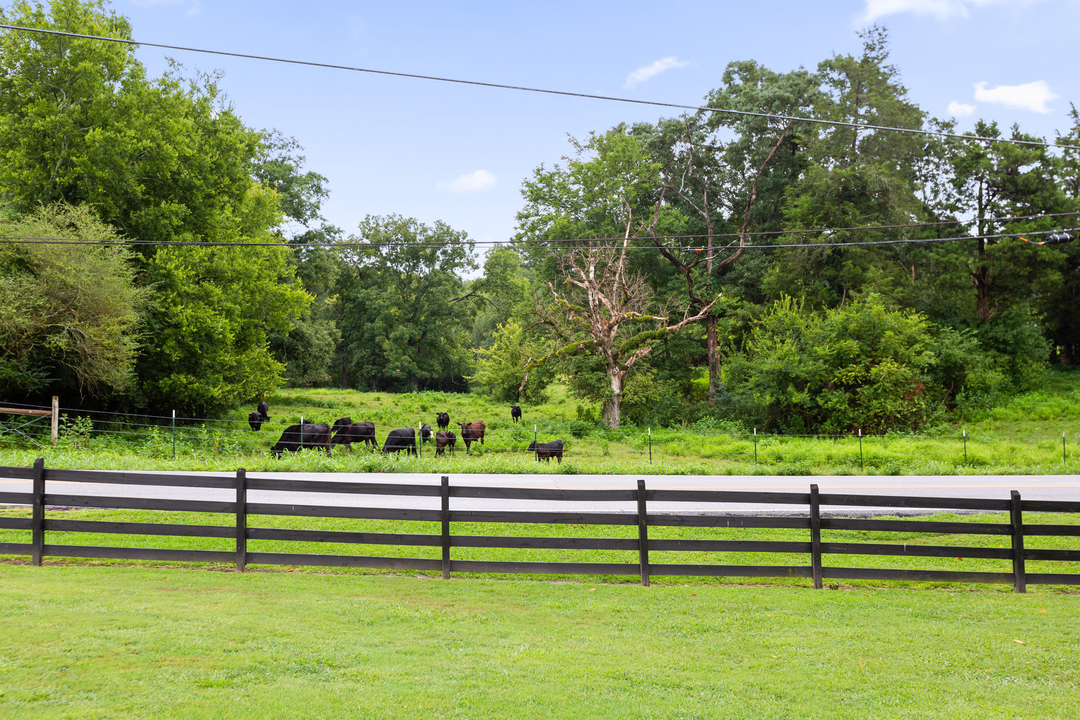 3262 Burning Bush Road Ringgold, GA 30736 - Photo 8 of 63 view across sreet