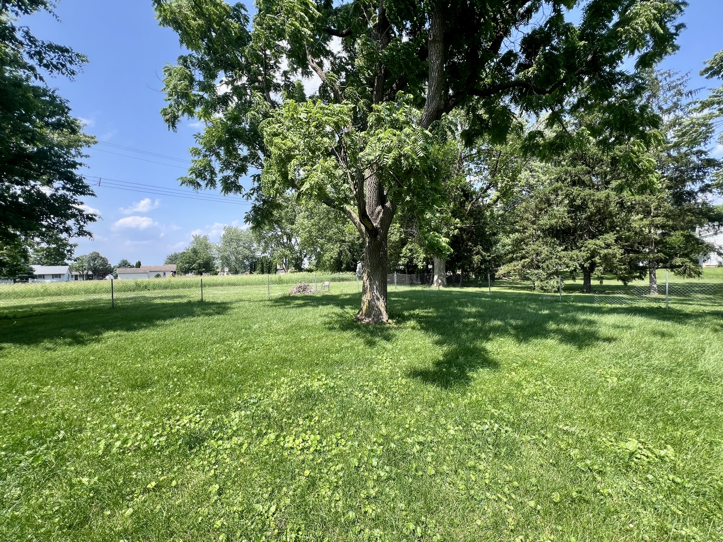 207 2nd Street Broadlands, IL 61816 - Photo 45 of 45 a view of grassy field with benches and trees all around