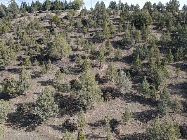 $99,500 | 4008 Patterson Drive, Canyon City, OR 97820