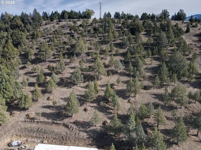 $99,500 | 4008 Patterson Drive, Canyon City, OR 97820