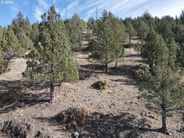 $99,500 | 4008 Patterson Drive, Canyon City, OR 97820