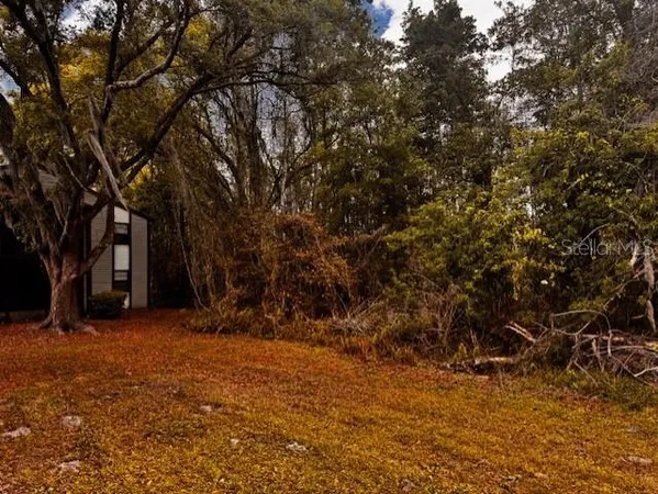 a view of outdoor space with trees