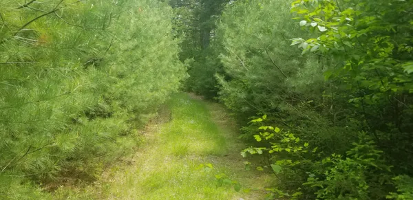 $150,000 | M13 L36 Harland Cunningham Road, Penobscot, ME 04476