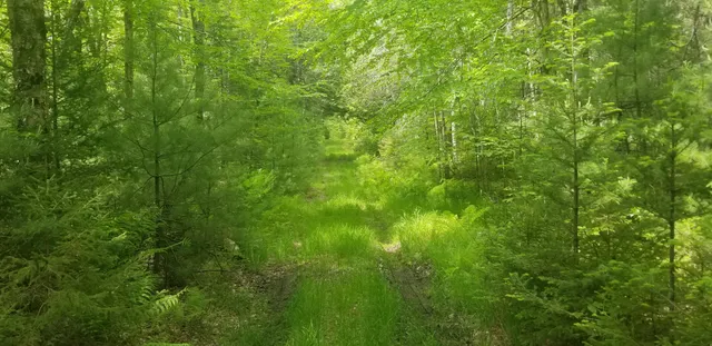 $150,000 | M13 L36 Harland Cunningham Road, Penobscot, ME 04476