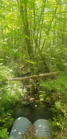 $150,000 | M13 L36 Harland Cunningham Road, Penobscot, ME 04476