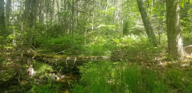 $150,000 | M13 L36 Harland Cunningham Road, Penobscot, ME 04476