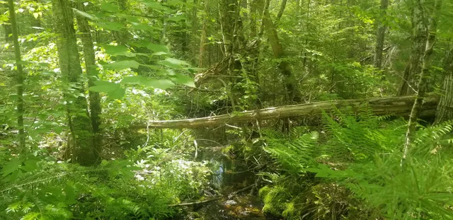 $150,000 | M13 L36 Harland Cunningham Road, Penobscot, ME 04476