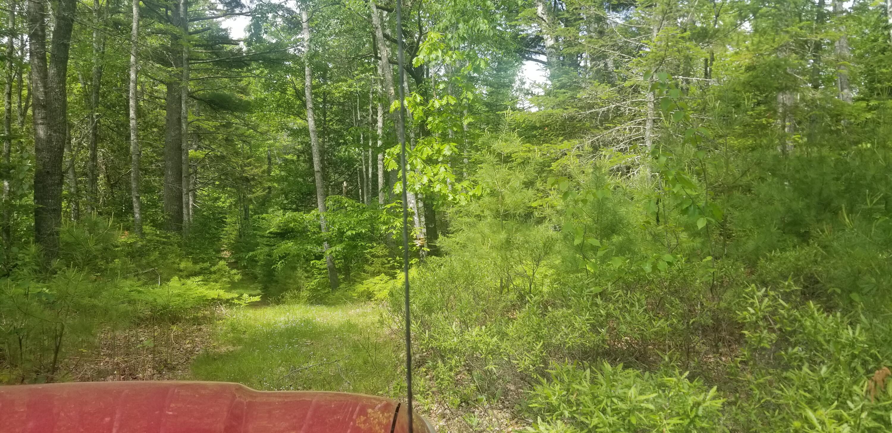 M13 L36 Harland Cunningham Road Penobscot, ME 04476 - Photo 8 of 14 20210603_110003