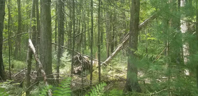 $150,000 | M13 L36 Harland Cunningham Road, Penobscot, ME 04476