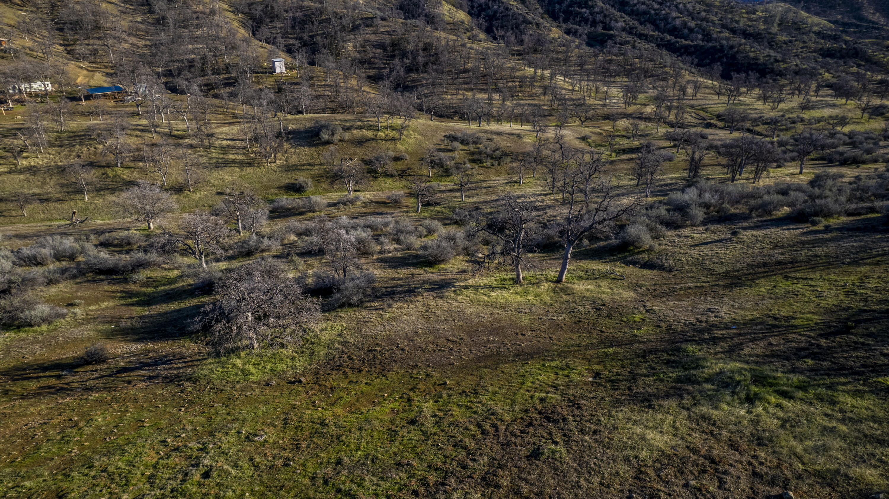Yolla Bolly Road Igo, CA 96047 - Photo 9 of 10 a view of a yard with plants