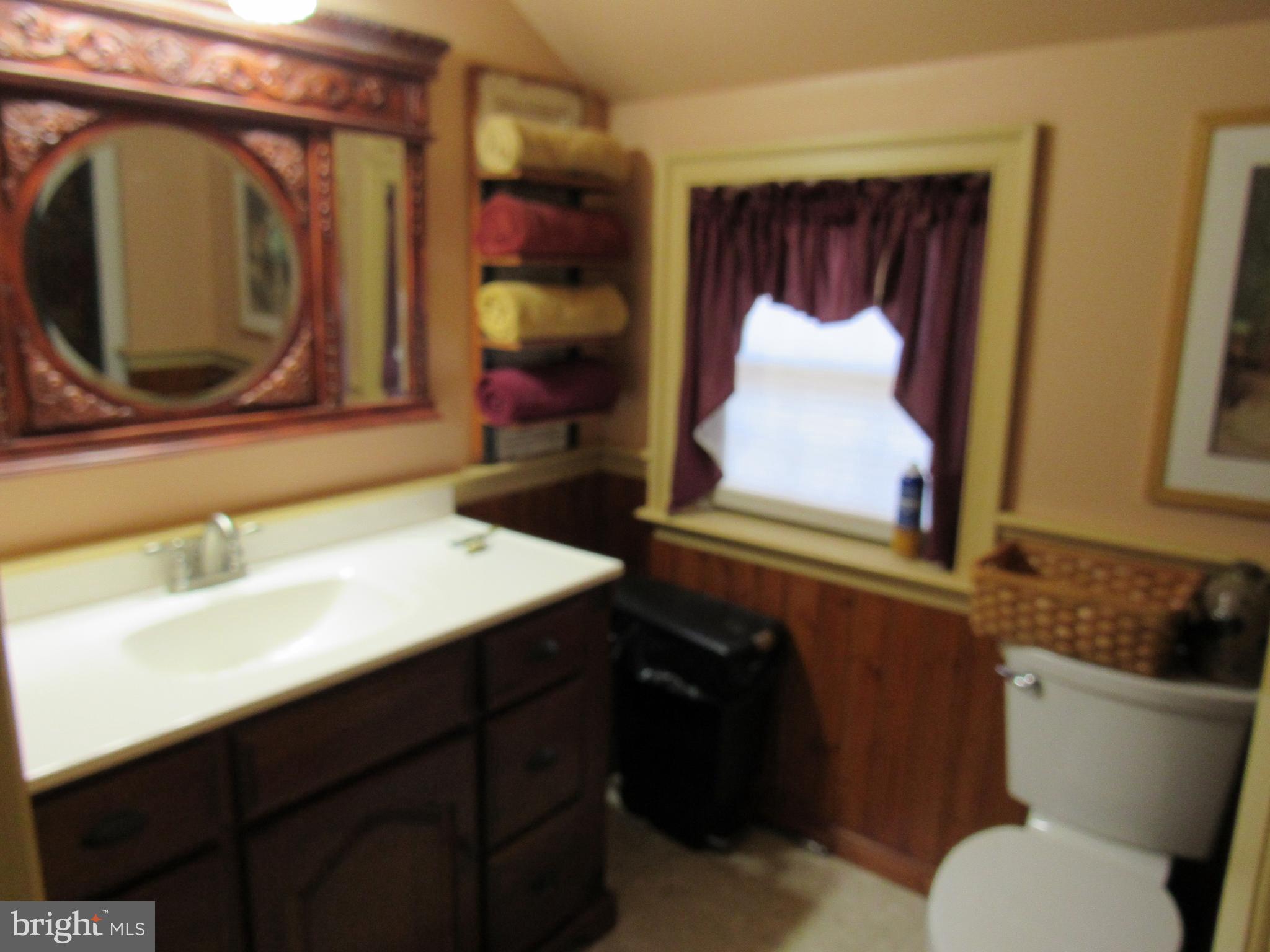 1105 Wilson Street Pottstown, PA 19464 - Photo 41 of 87 a bathroom with a sink vanity mirror and toilet