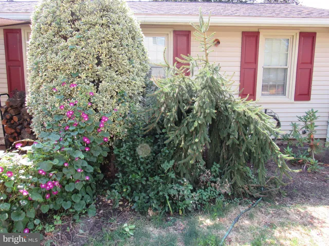 $565,000 | 1105 Wilson Street, Pottstown, PA 19464