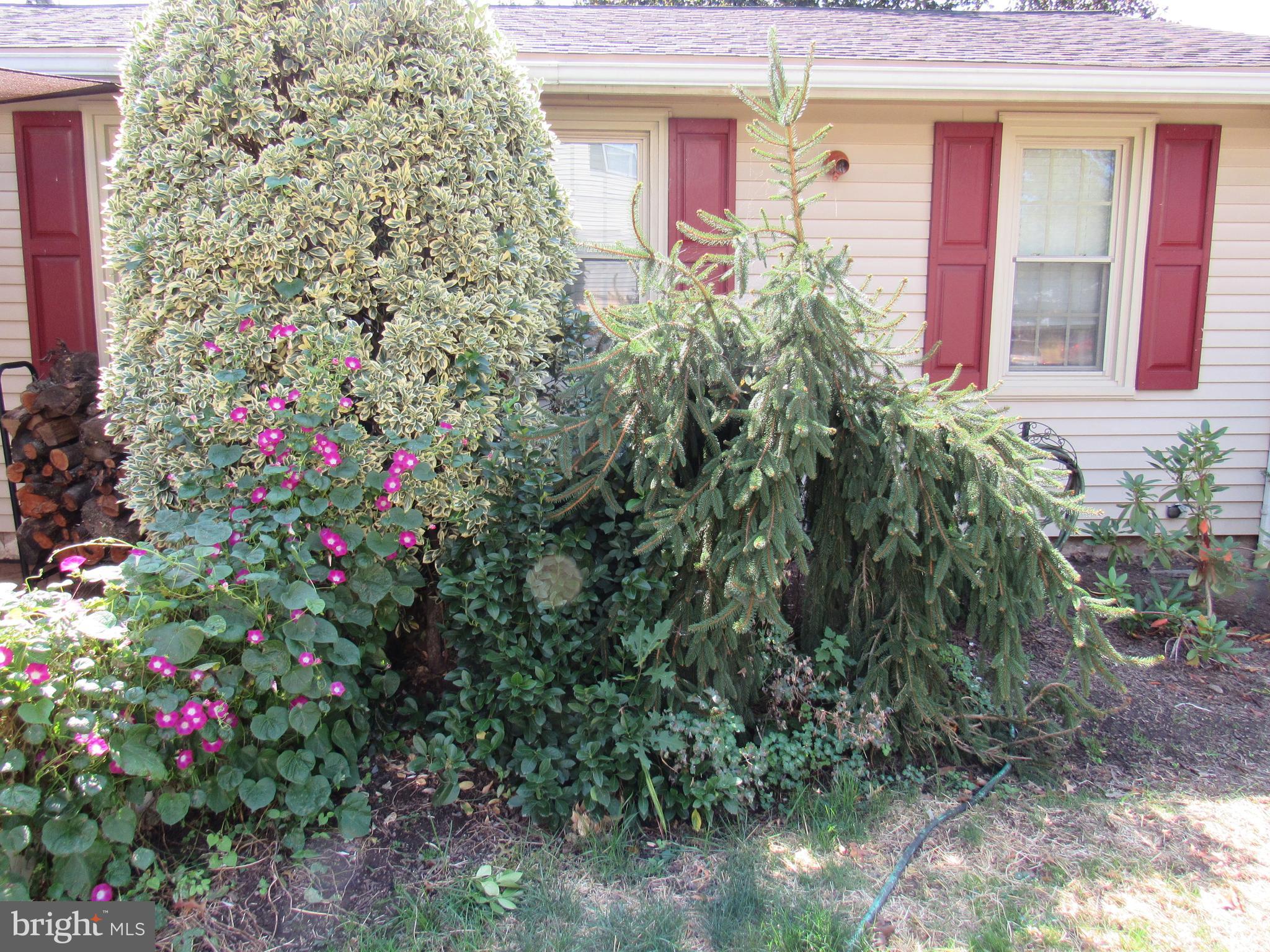 1105 Wilson Street Pottstown, PA 19464 - Photo 68 of 86