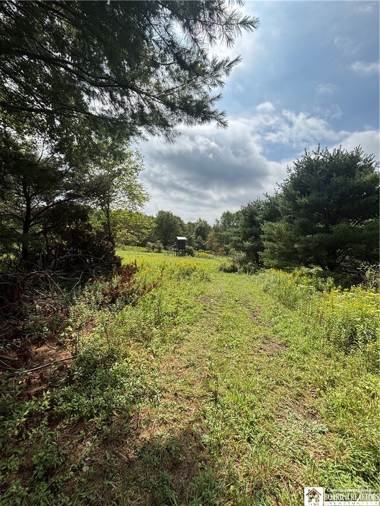 Swain Hill Road Andover, NY 14806 - Photo 27 of 44 Gallery Image 27