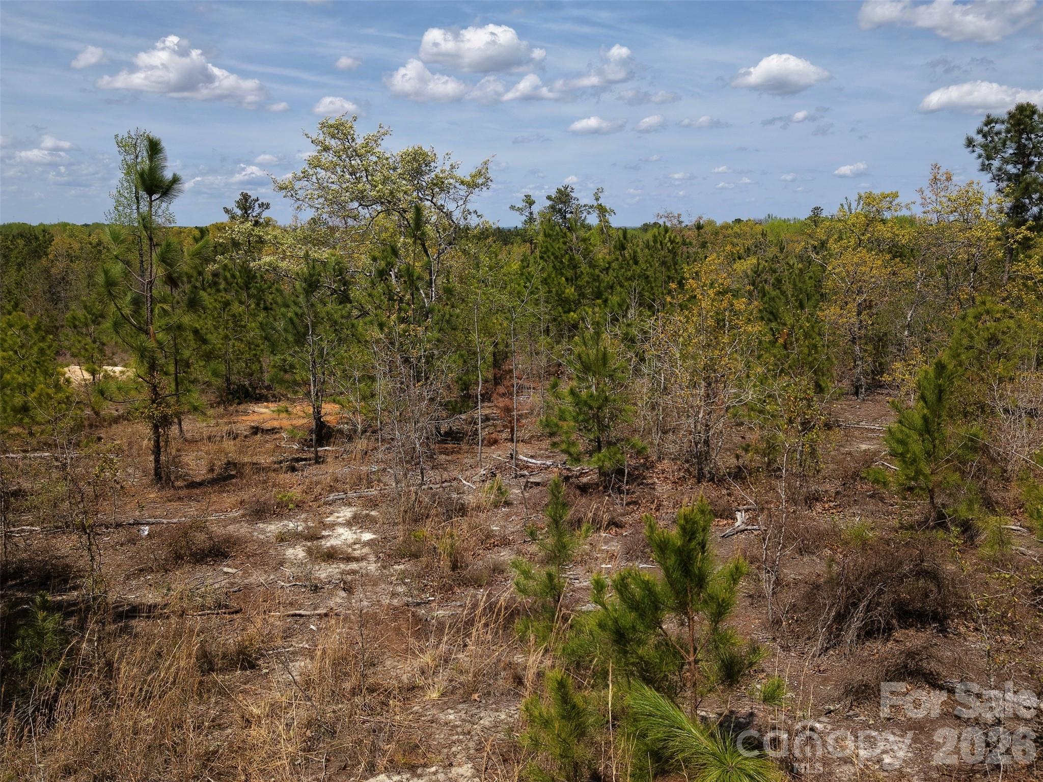 0 McQueen Road Patrick, SC 29584 - Photo 12 of 25