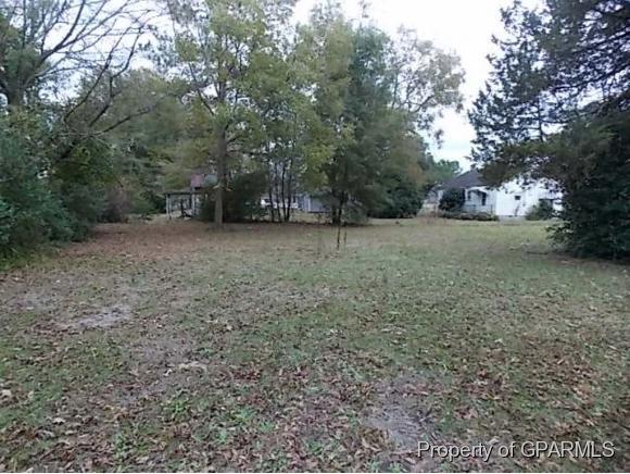 150 Collier-Loftin Road Kinston, NC 28504 - Photo 4 of 4 Additional Photo