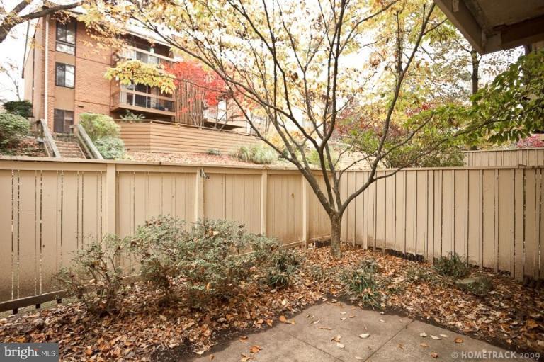 17 Hamill Road, Unit A Baltimore, MD 21210 - Photo 21 of 21 a backyard of a house with lots of green space