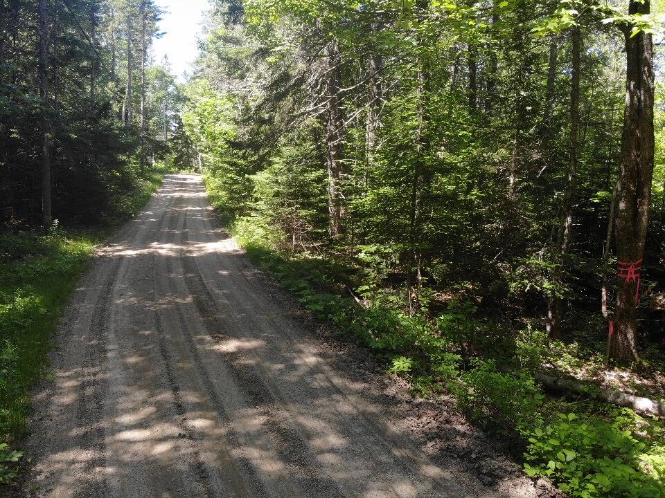 0 Flye Point, Unit LOT 3 Brooklin, ME 04616 - Photo 2 of 7