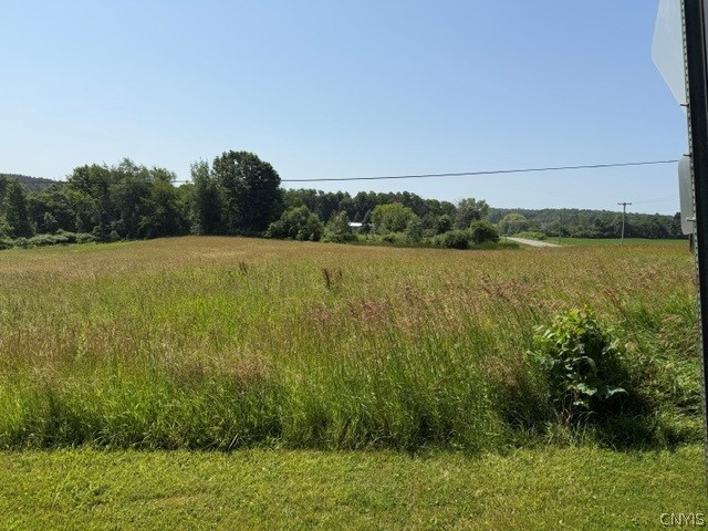 1454 Onionville Road Sterling, NY 13156 - Photo 5 of 12