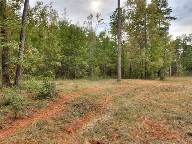 4129 Pine Ridge Road Appling, GA 30802 - Photo 11 of 34 Gallery Image 11