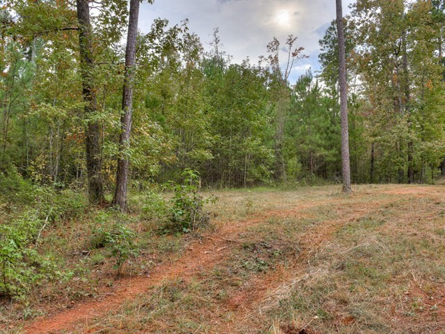 4129 Pine Ridge Road Appling, GA 30802 - Photo 12 of 34 Gallery Image 12