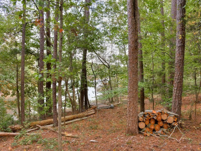 4129 Pine Ridge Road Appling, GA 30802 - Photo 14 of 34 Gallery Image 14