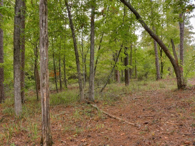 4129 Pine Ridge Road Appling, GA 30802 - Photo 15 of 34 Gallery Image 15