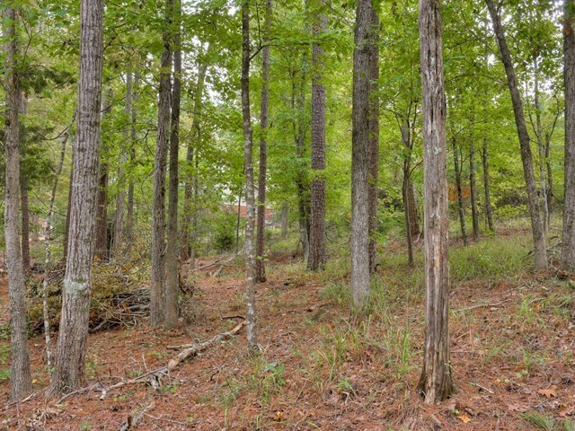 4129 Pine Ridge Road Appling, GA 30802 - Photo 16 of 34 Gallery Image 16