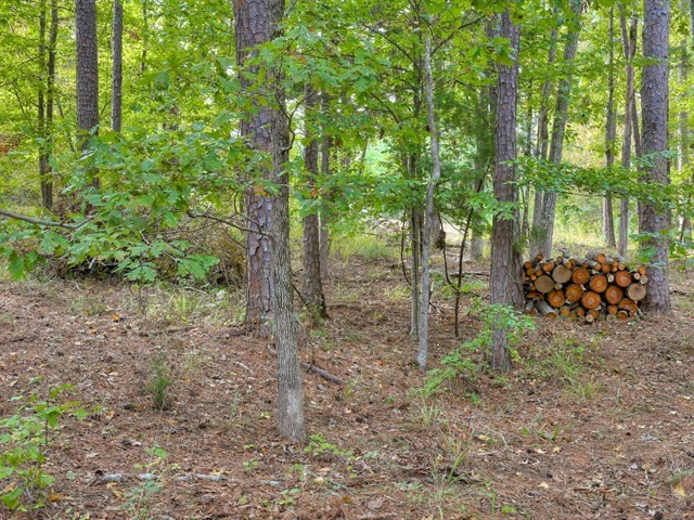 4129 Pine Ridge Road Appling, GA 30802 - Photo 27 of 34 Gallery Image 27