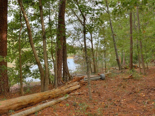 4129 Pine Ridge Road Appling, GA 30802 - Photo 29 of 34 Gallery Image 29