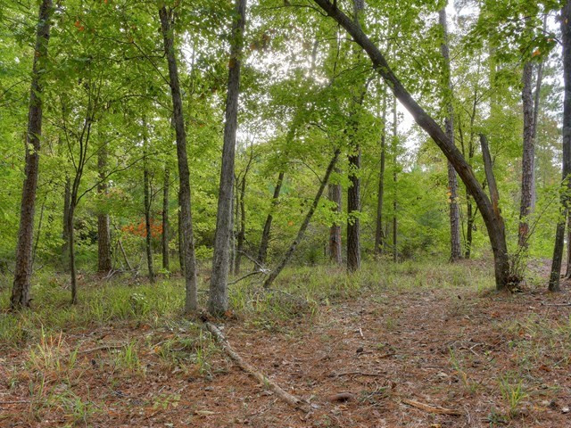 4129 Pine Ridge Road Appling, GA 30802 - Photo 30 of 34 Gallery Image 30