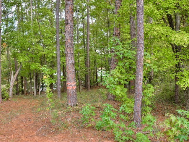 4129 Pine Ridge Road Appling, GA 30802 - Photo 31 of 34 Gallery Image 31