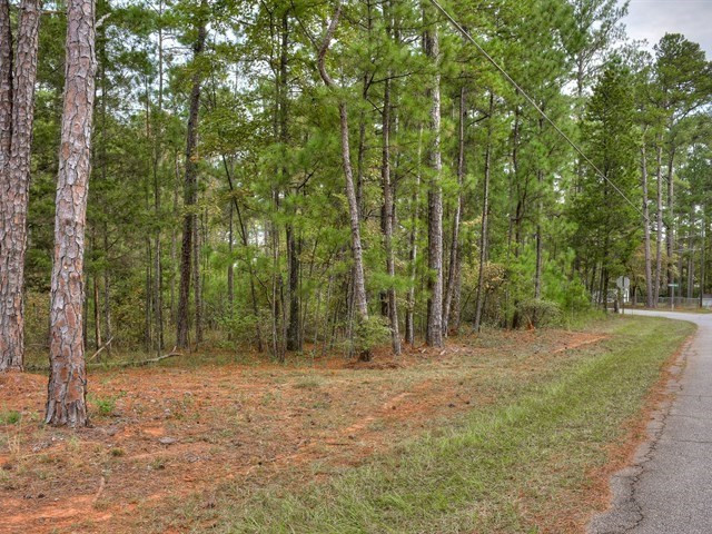 4129 Pine Ridge Road Appling, GA 30802 - Photo 34 of 34 Gallery Image 34