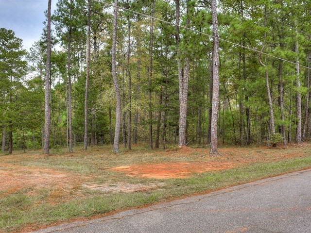 Gallery Image 6
