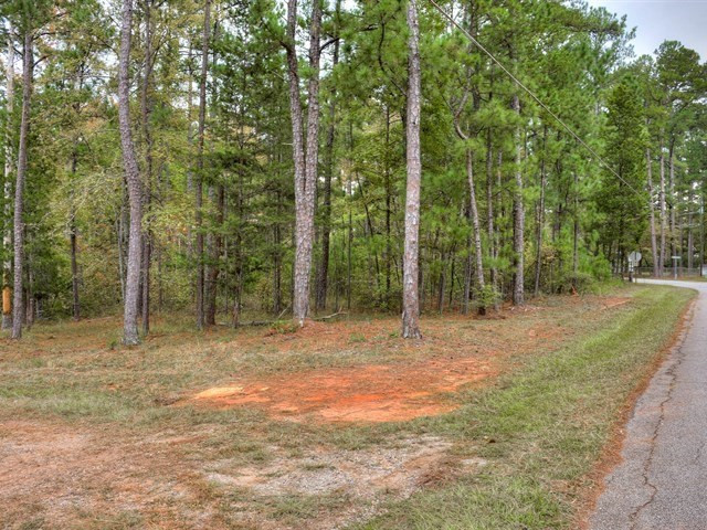 4129 Pine Ridge Road Appling, GA 30802 - Photo 8 of 34 Gallery Image 8
