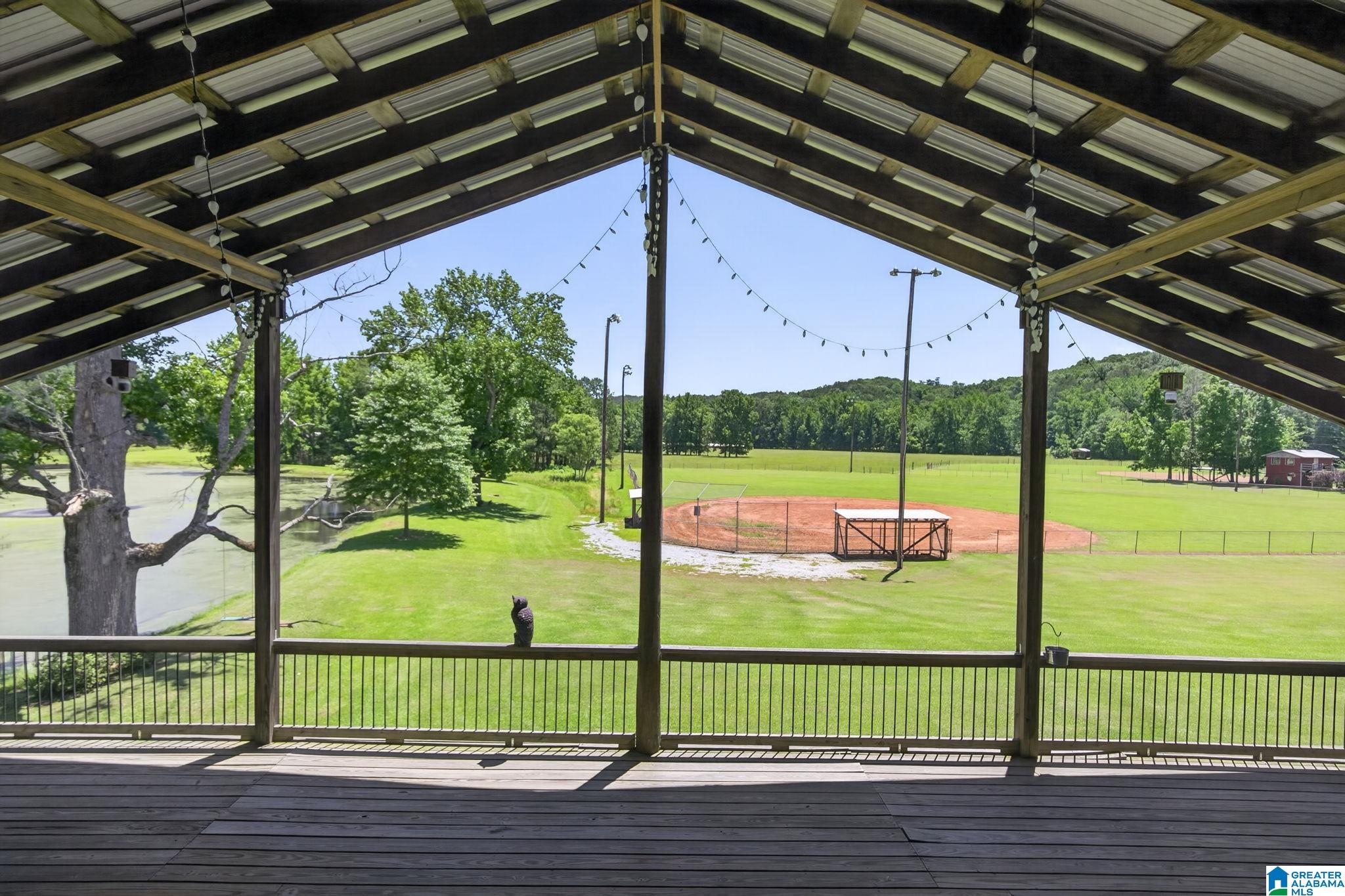 3463 County Road 3 Delta, AL 36258 - Photo 56 of 100