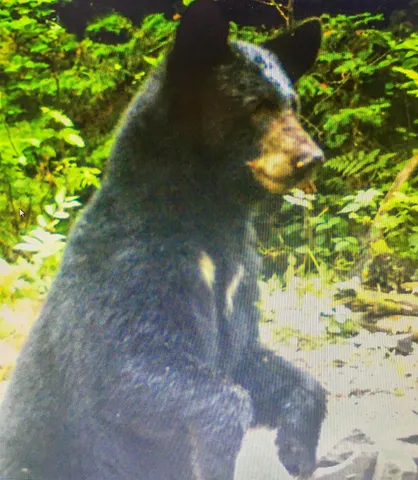 $600,000 | 5093 Co Hwy G, Argonne, WI 54511