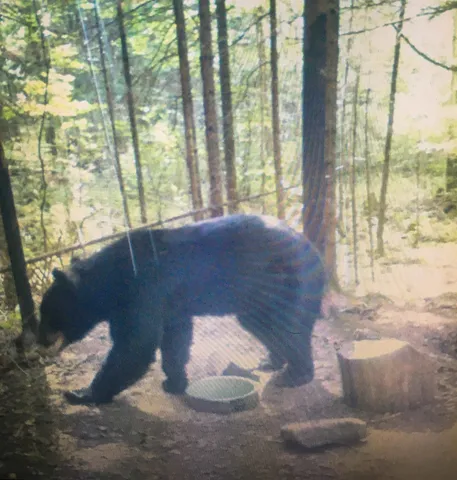 $600,000 | 5093 Co Hwy G, Argonne, WI 54511