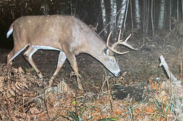 $600,000 | 5093 Co Hwy G, Argonne, WI 54511