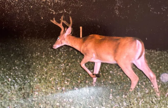 $600,000 | 5093 Co Hwy G, Argonne, WI 54511